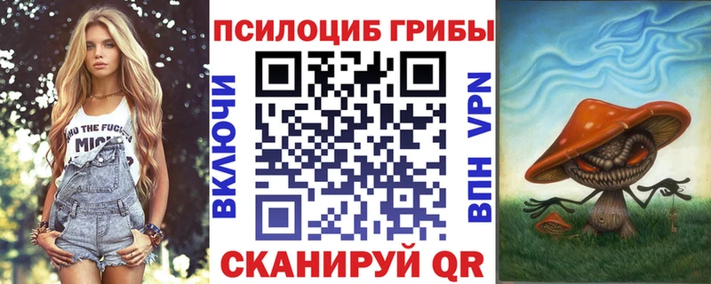 Псилоцибиновые грибы Psilocybe Липки